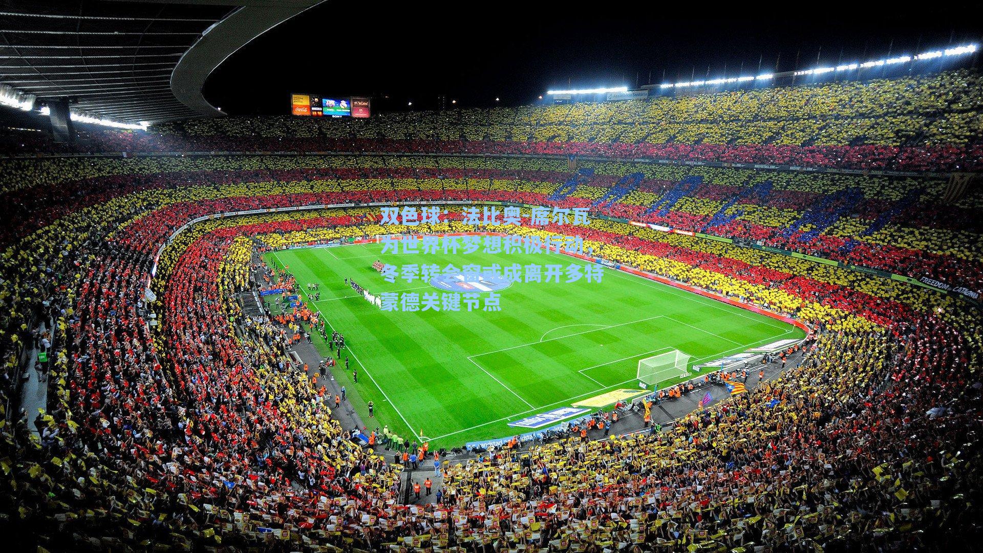 法比奥-席尔瓦为世界杯梦想积极行动，冬季转会窗或成离开多特蒙德关键节点